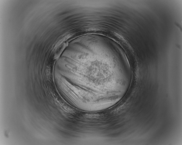 X0000101960825200808081526