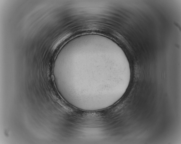 X0000101960826200808081526