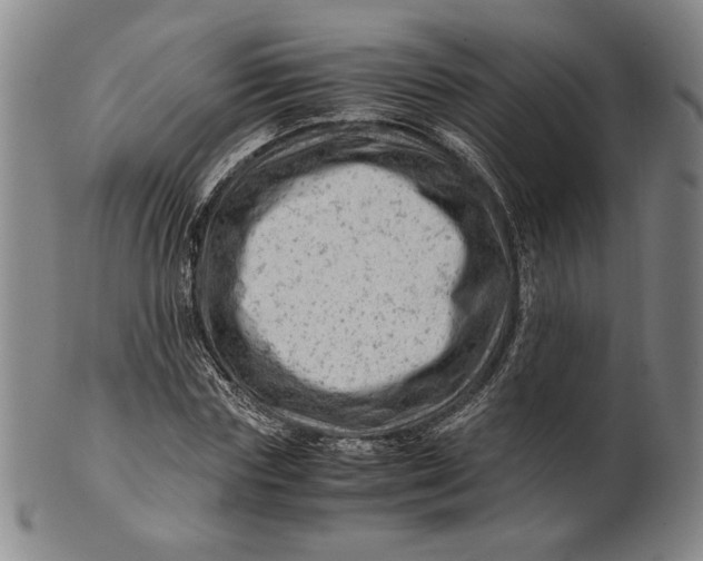 X0000101960827200808081526