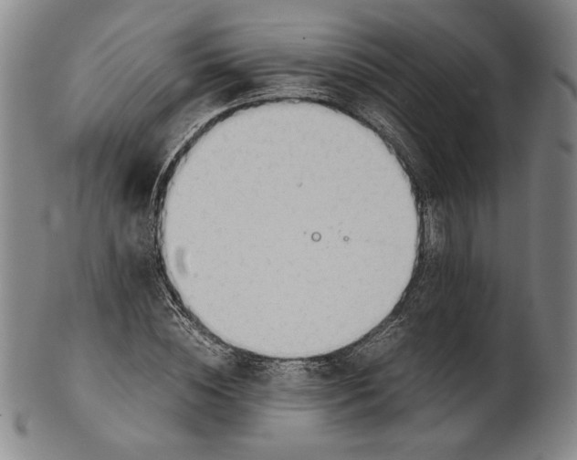 X0000101960828200808081526