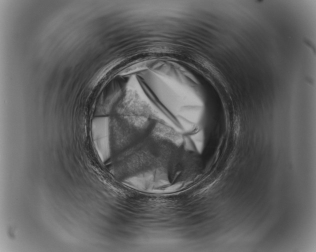 X0000101960829200808081526