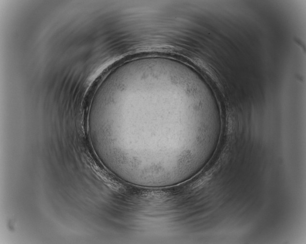 X0000101960830200808081526