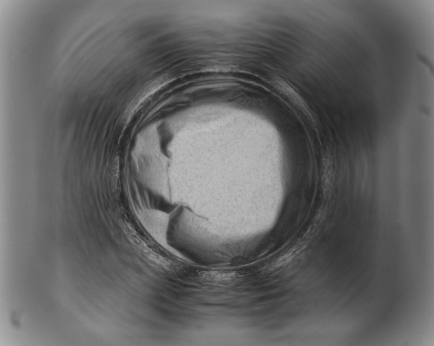 X0000101960831200808081526