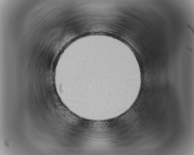 X0000101960832200808081526