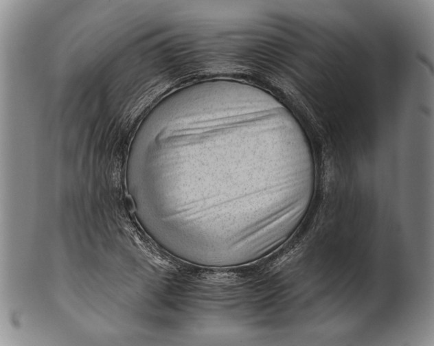 X0000101960833200808081526