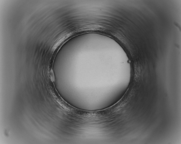 X0000101960834200808081526