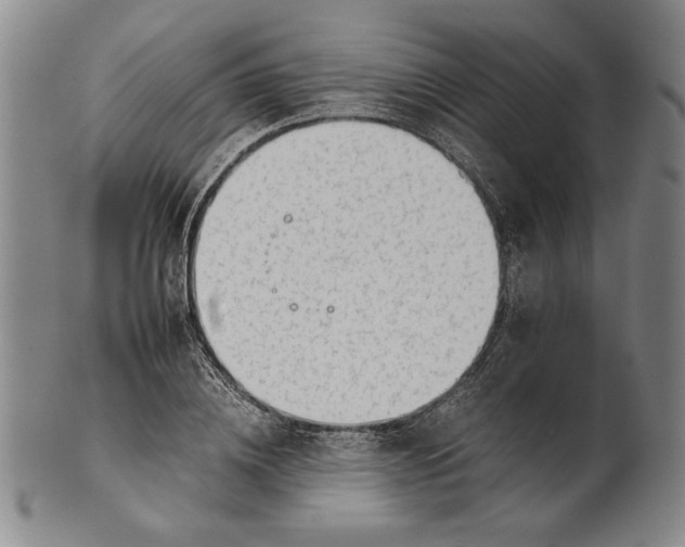 X0000101960836200808081526