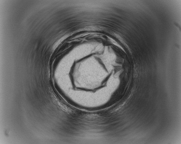 X0000101960837200808081526