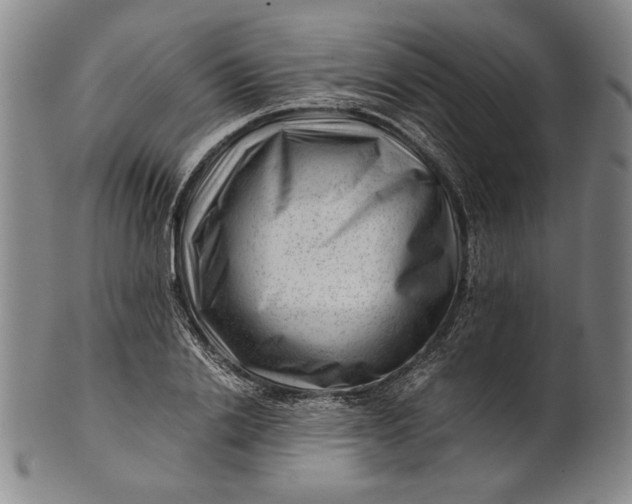 X0000101960838200808081526