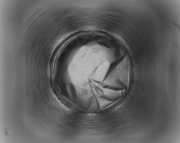 X0000101960839200808081526