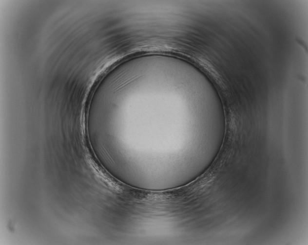 X0000101960840200808081526