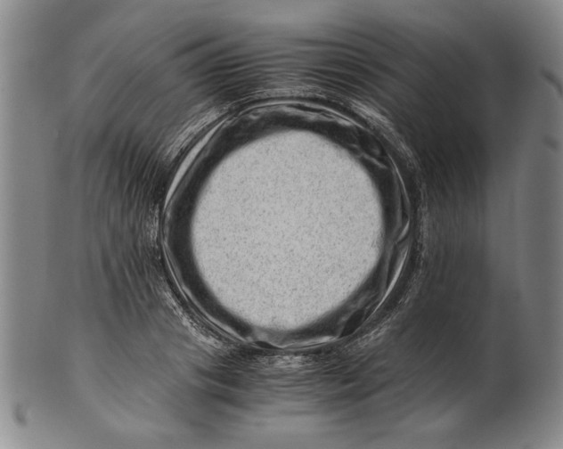 X0000101960841200808081526