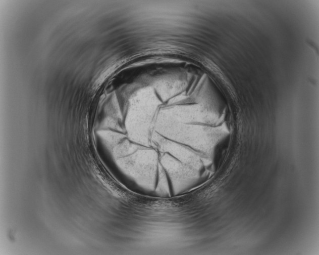 X0000101960842200808081526