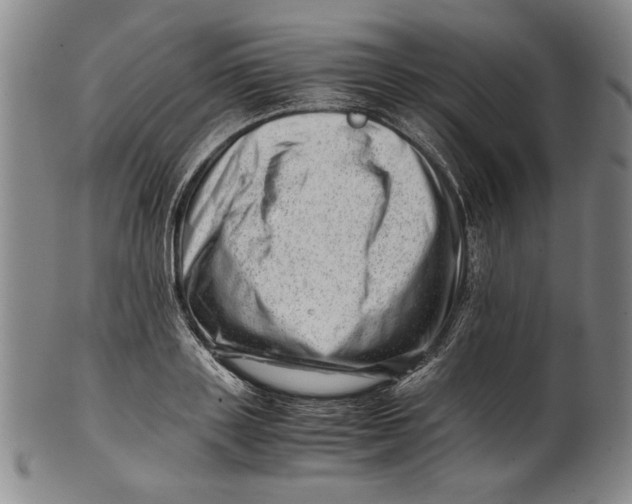 X0000101960843200808081526