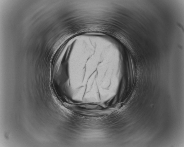 X0000101960844200808081526