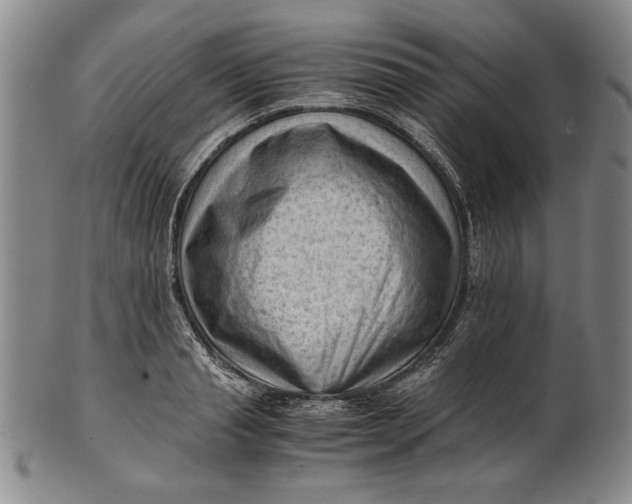 X0000101960845200808081526