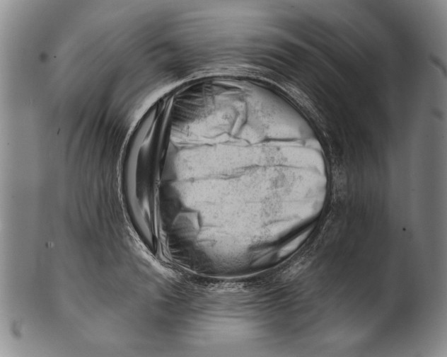 X0000101960846200808081526