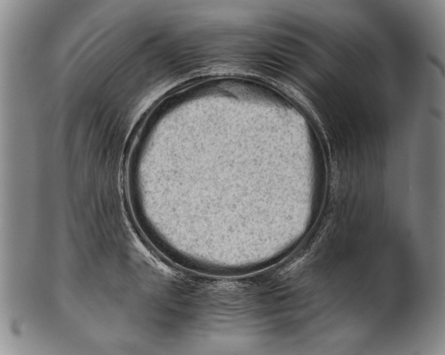 X0000101960847200808081526