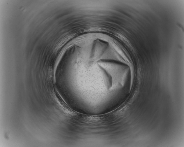 X0000101960849200808081526