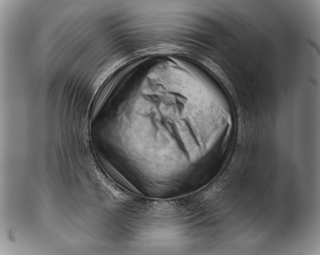 X0000101960850200808081526