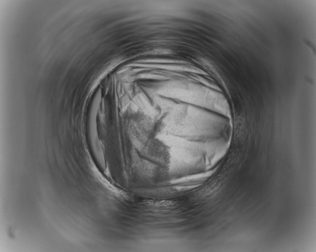 X0000101960851200808081526