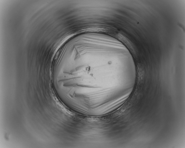 X0000101960852200808081526