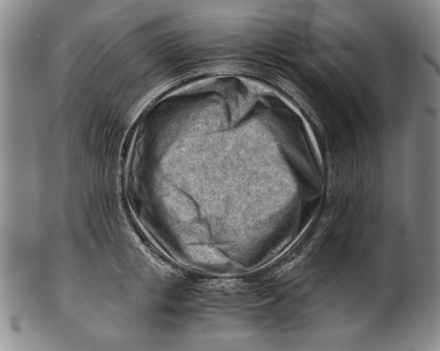 X0000101960853200808081526