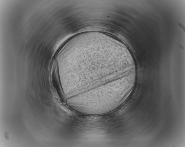 X0000101960854200808081526