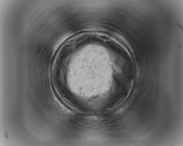 X0000101960855200808081527