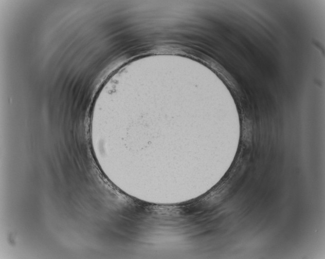 X0000101960856200808081527