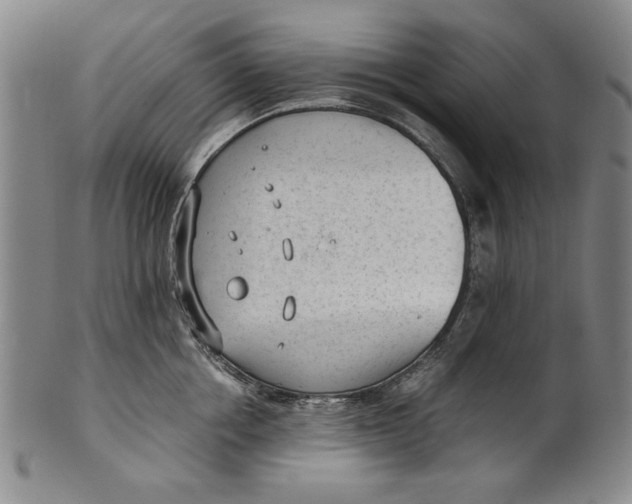 X0000101960858200808081527