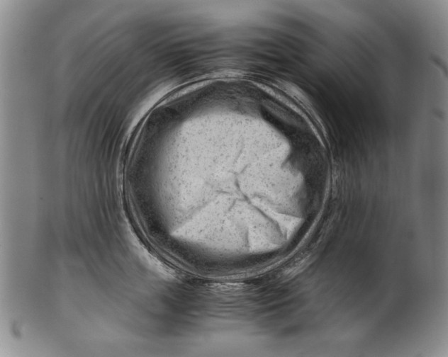 X0000101960859200808081527