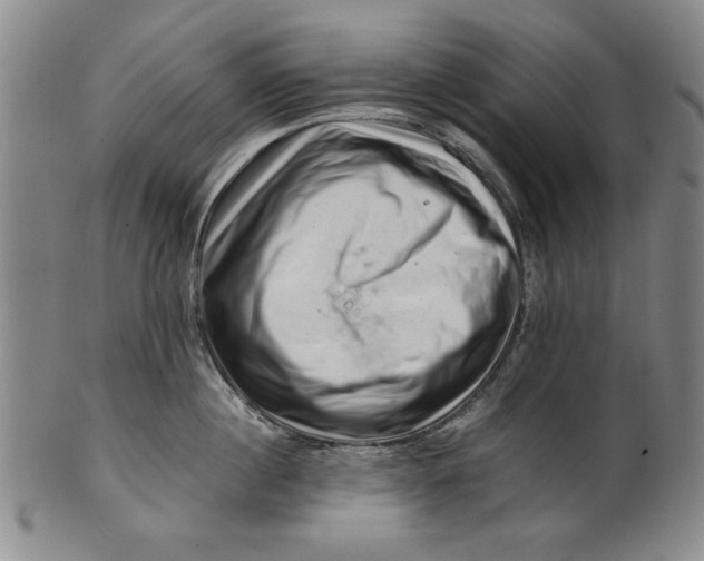 X0000101960860200808081527