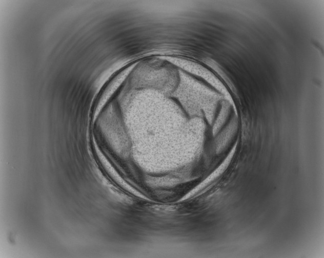 X0000101960861200808081527