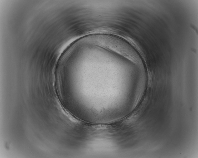 X0000101960862200808081527