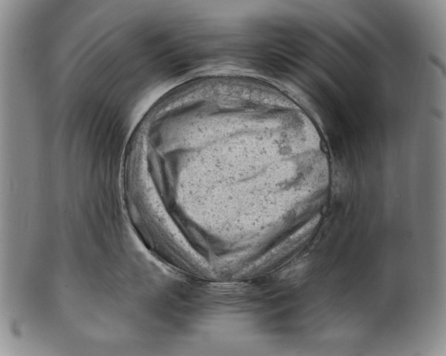 X0000101960863200808081527