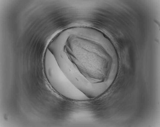 X0000101960864200808081527