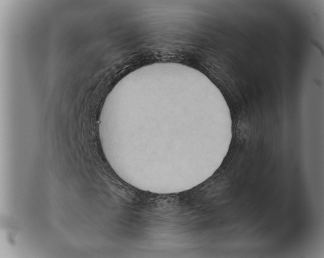 X0000101960865200808081526