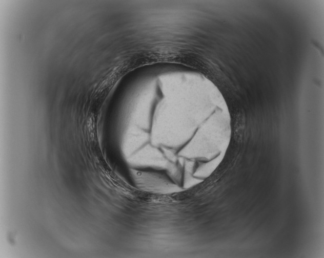 X0000101960866200808081526