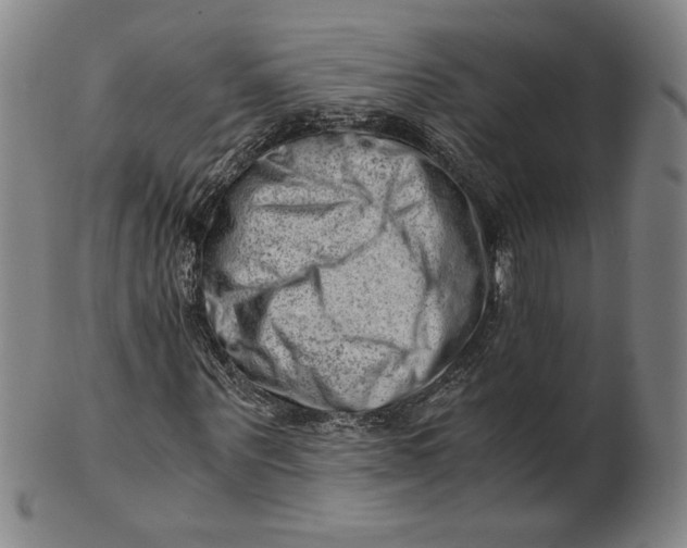 X0000101960867200808081526