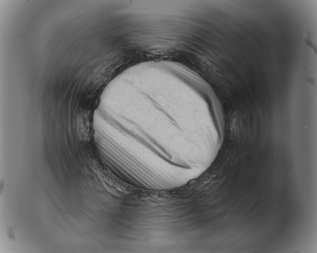 X0000101960868200808081526