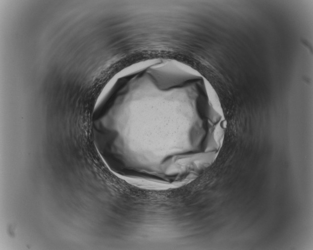 X0000101960870200808081526