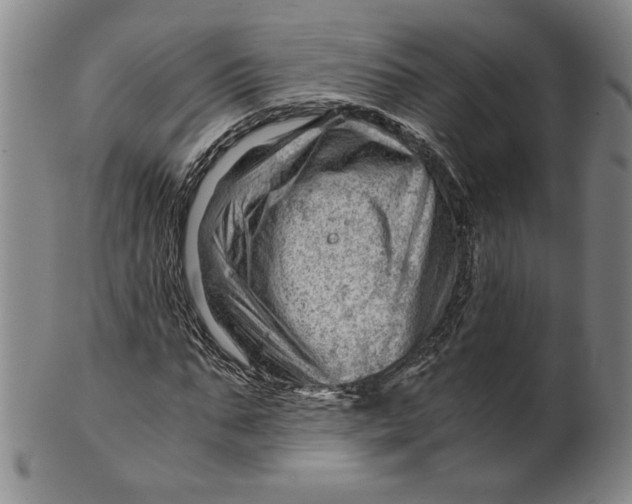 X0000101960871200808081526