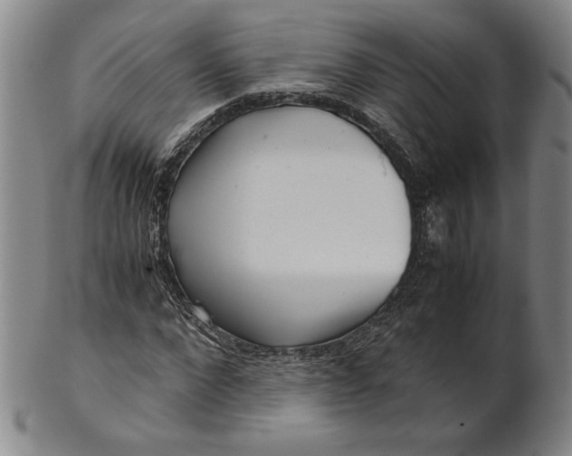 X0000101960872200808081526