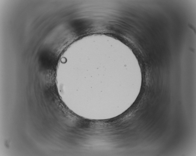 X0000101960873200808081526