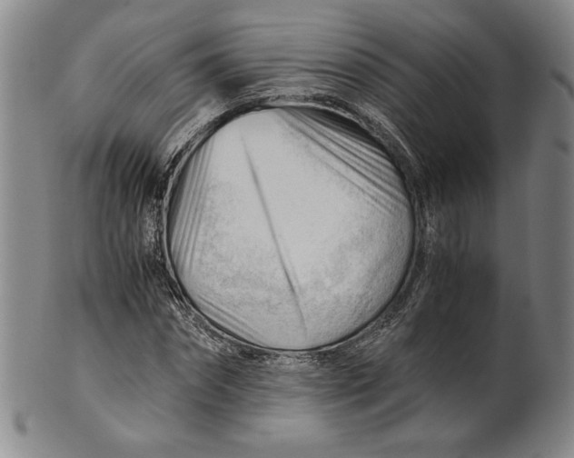 X0000101960874200808081526