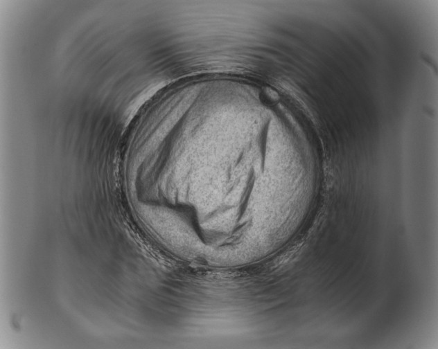 X0000101960875200808081526