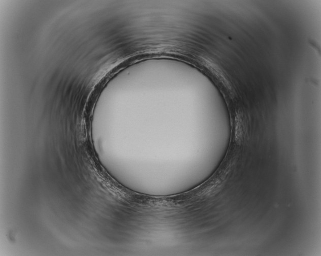 X0000101960876200808081526