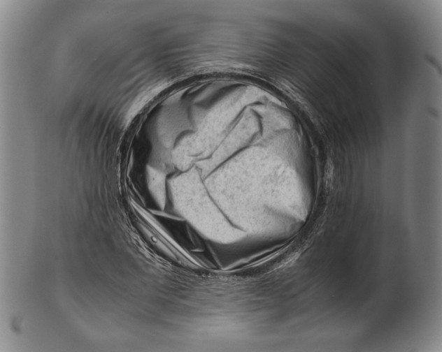 X0000101960877200808081526