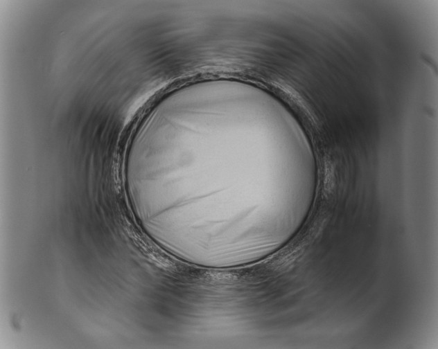 X0000101960878200808081526